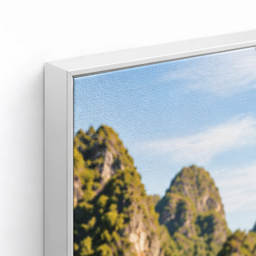 Cetak Kanvas Floater Frame