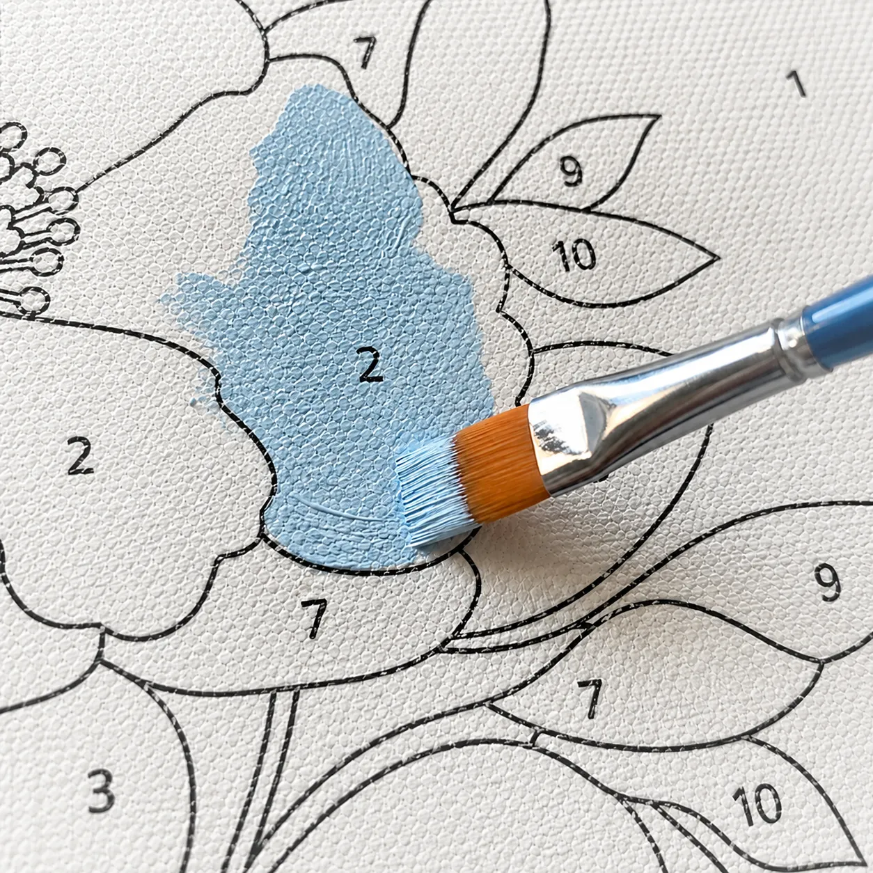 Detail kanvas Paint by Number
